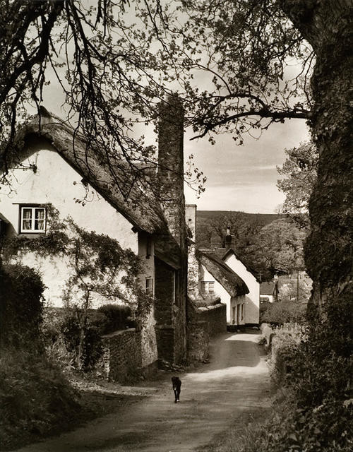 Luccombe, Somerset