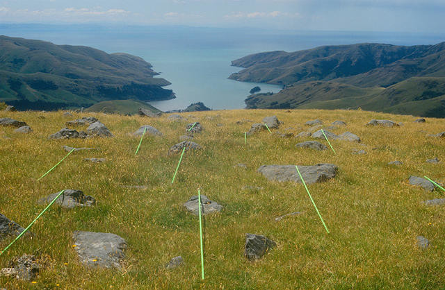 Land Extensums, Banks Peninsula