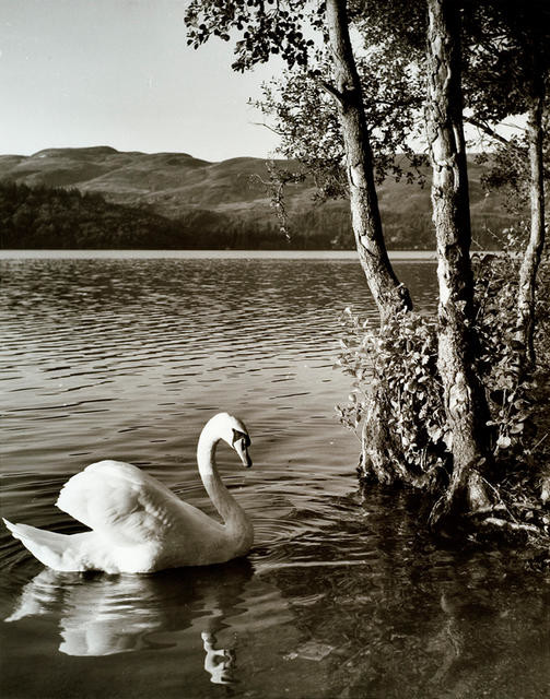 Loch Venachar, Perthshire