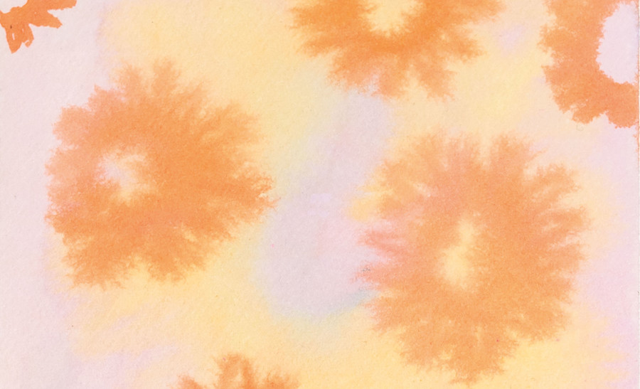 Turumeke Harrington Ihiraki (quest) (detail) 2022. Watercolour on 100% cotton. Courtesy of the artist and Page Galleries. Photo: Cheska Brown
