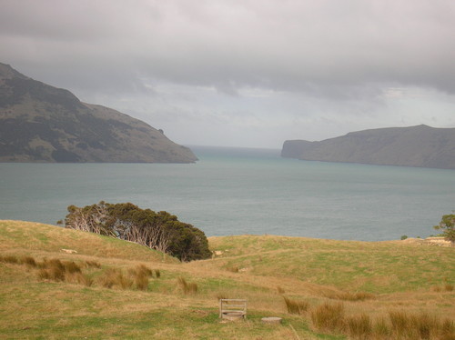 Timutimu Head from above Wainui