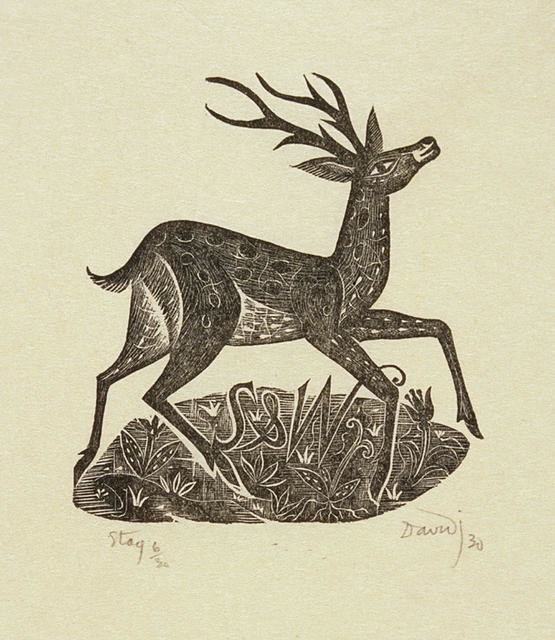 Stag