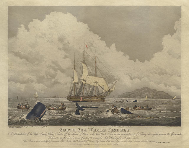 South Sea Whale Fishery