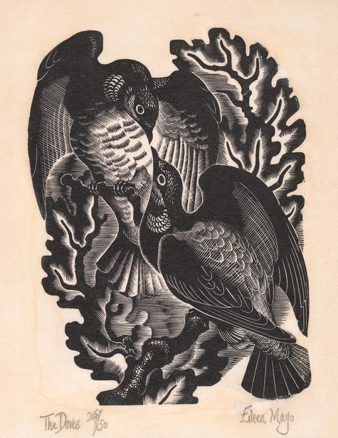 Eileen Mayo The Doves 1948. Wood engraving. Collection of Christchurch Art Gallery Te Puna o Waiwhetū, purchased 1972