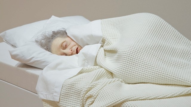 Ron Mueck - Old woman in bed