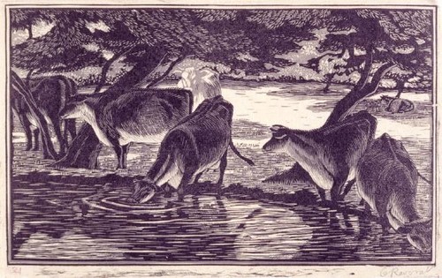 Gwendolen Mary Raverat Cows Drinking 1930. Wood engraving. Collection of Christchurch Art Gallery Te Puna o Waiwhetū, presented by Mr Rex Nan Kivell, 1953