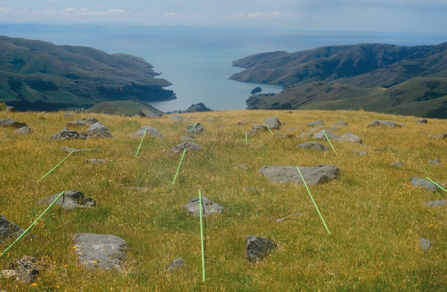 Pauline Rhodes Land Extensums, Banks Peninsula 1983. Photograph. Collection of Christchurch Art Gallery Te Puna o Waiwhetū, gift of the artist 2000