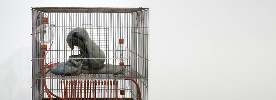 Julia Morison: Meet me on the other side