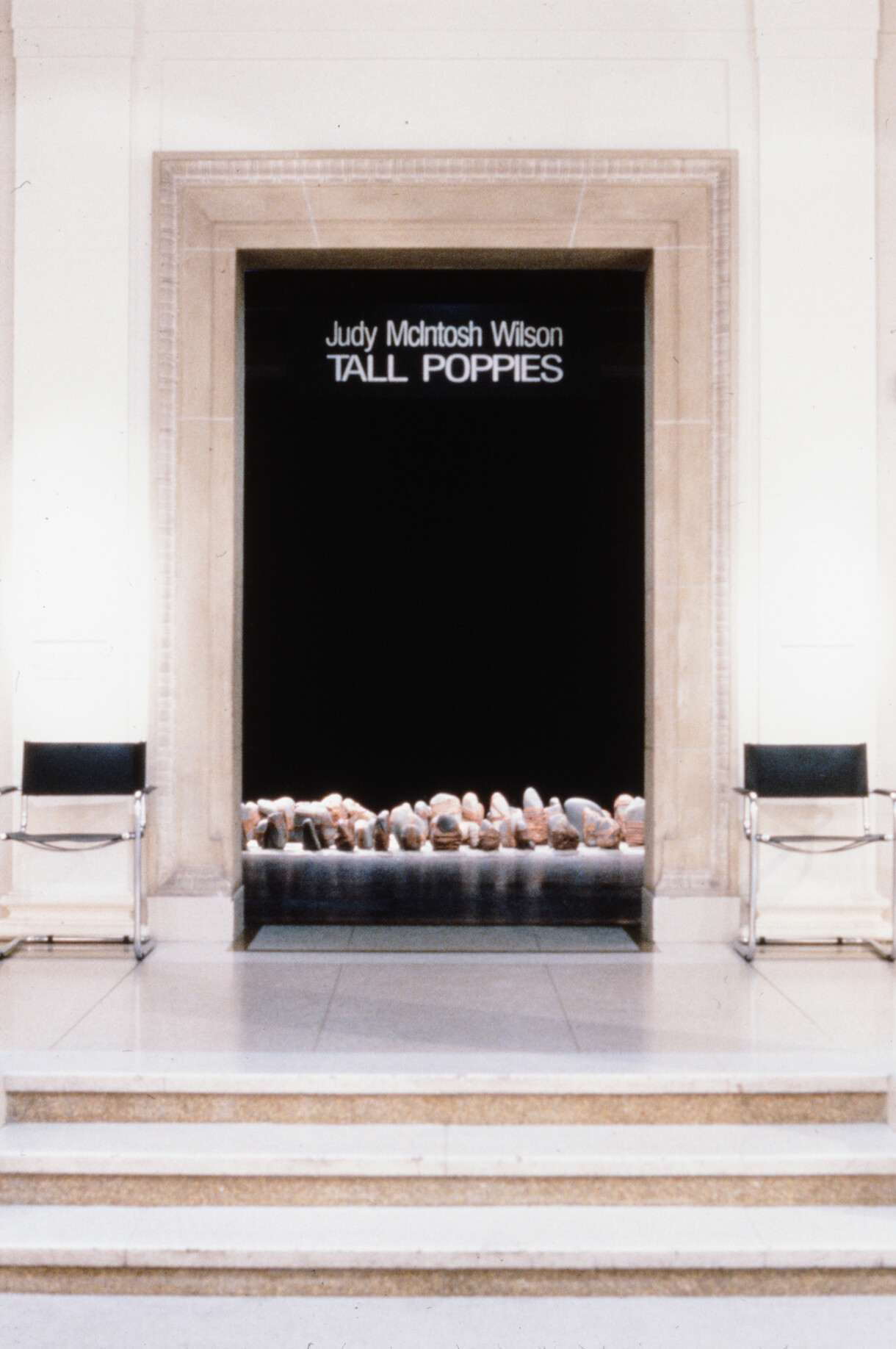 Tall Poppies: Judy Wilson