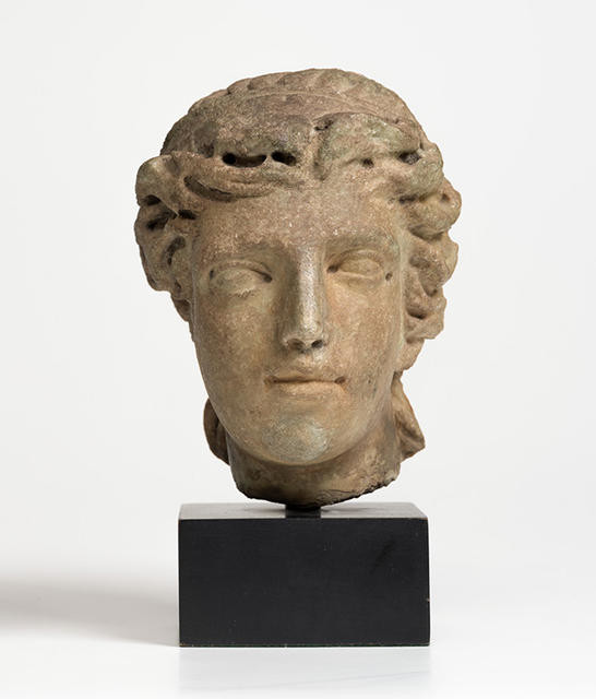 Head Of A Young Woman