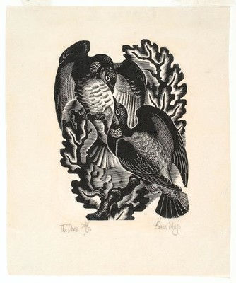 Eileen Mayo The Doves 1948. Wood engraving. Purchased 1972. Reproduced courtesy of Dr Jillian Cassidy