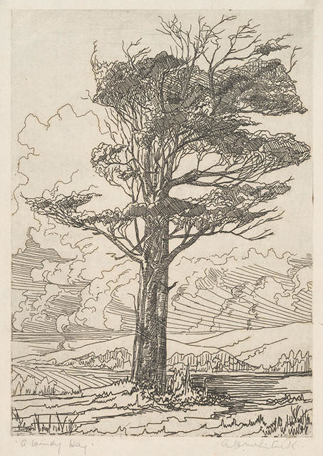 A Windy Day