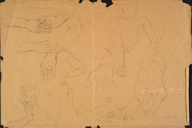 Untitled [sketches of torsos and hands]