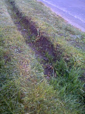 Quake-scarred grass verge, St Albans, Christchurch.