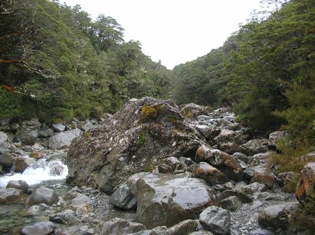 Upper reaches of the Bealey River near Arthur's Pass.