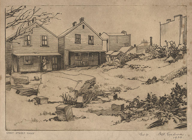 Grey Street Gully