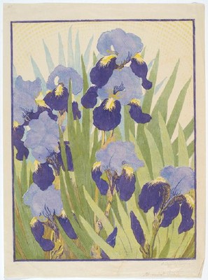 Wilfred Wood Iris. Woodcut. Presented by Mr Rex Nan Kivell, 1953