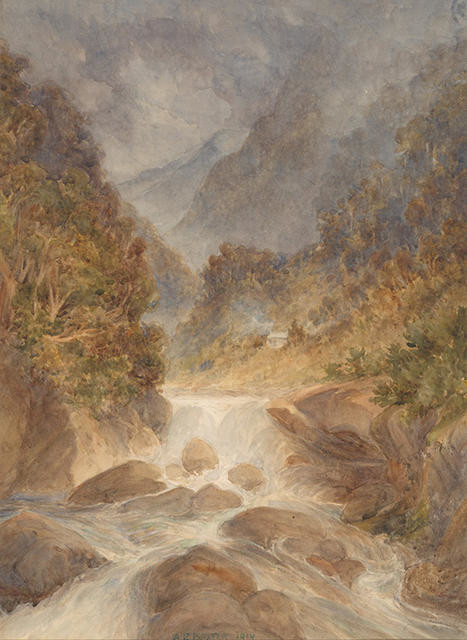 Waterfall & Bush