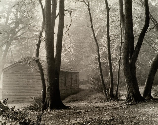 Cabin in the Forest, Swan Green, New Forest