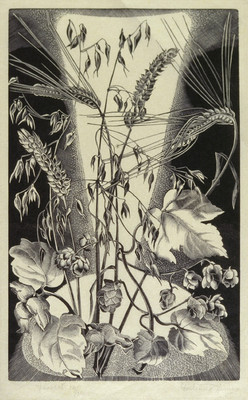 Gertrude Hermes The Harvest 1929. wood-engraving. Presented by Rex Nan Kivell, 1953.