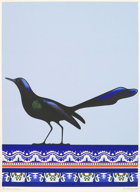 Grackle, Veracruz