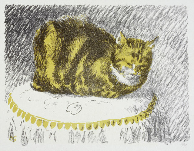 The Cat