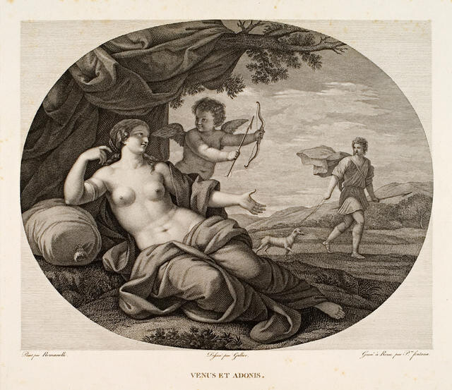 Venus Et Adonis