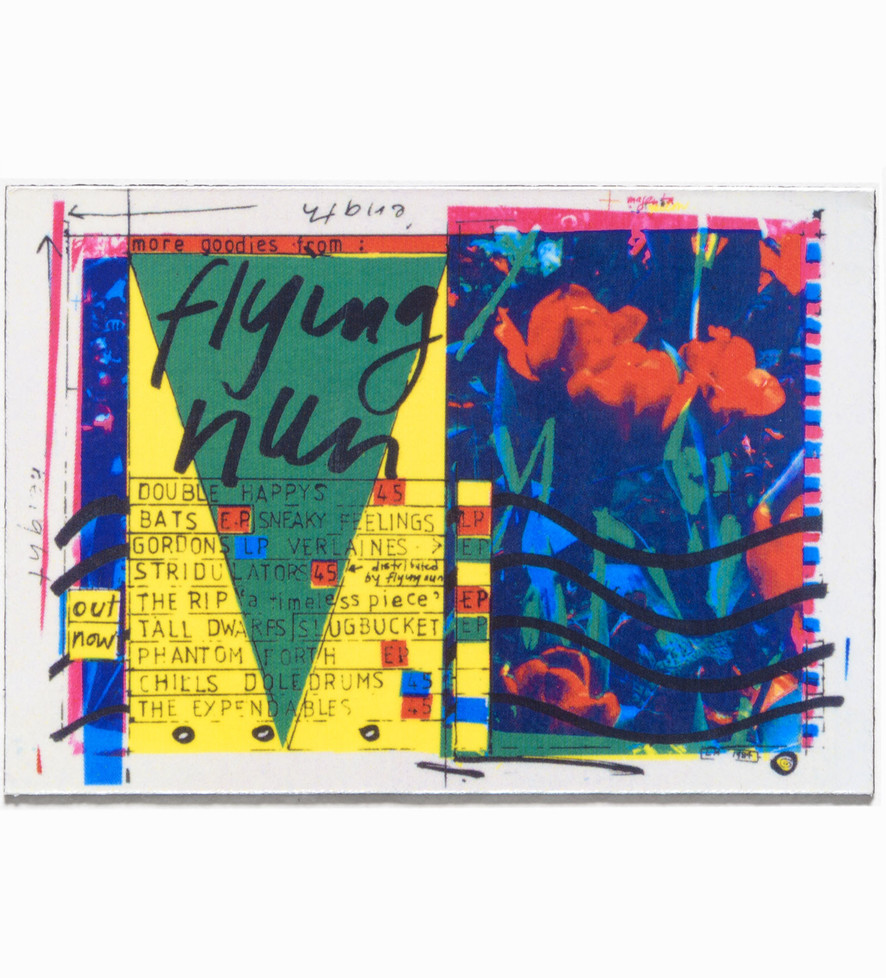 Magnet - More Goodies from Flying Nun
