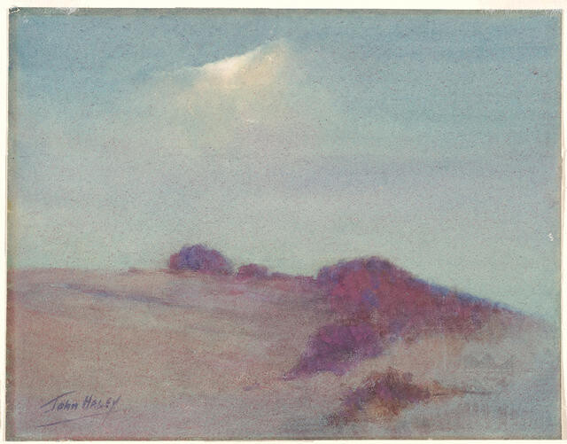 Moonlight on the dunes