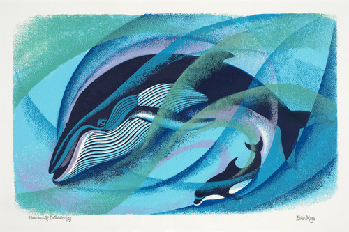 Eileen Mayo, British / New Zealand 1906-1994, Humpback and Bottlenose (1980) screenprint, Collection Christchurch Art Gallery Te Puna o Waiwhetū, purchased with assistance from the Federation of University Women, 2010.