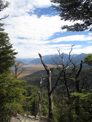 Waimakariri Valley from Binser Saddle