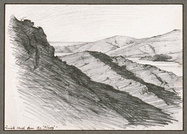 Quick sketch from the "Kiwi"