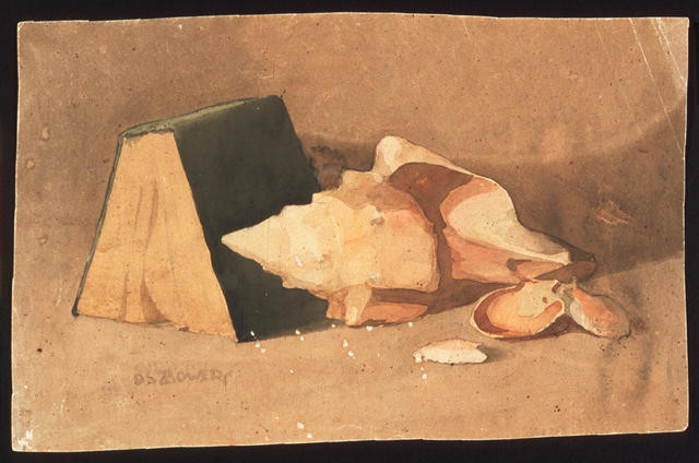 Early still life