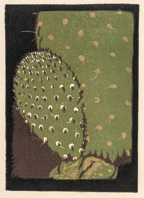 Untitled [cactus leaf]