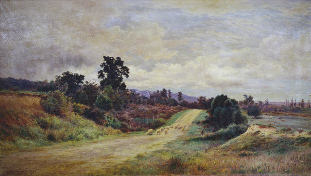 The Road through Peel Forest