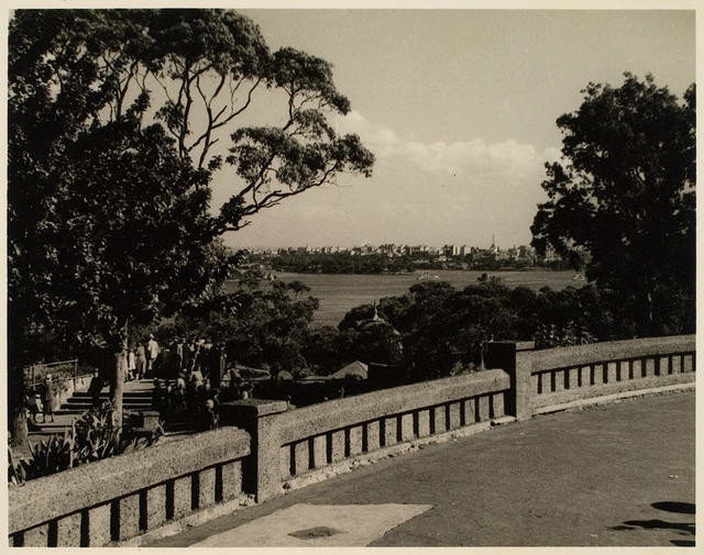 Sydney From Taronga Park