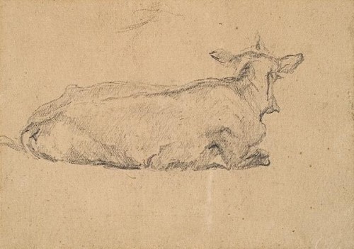 Petrus van der Velden Sketchbook Study Of A Cow. Pencil. Collection of Christchurch Art Gallery Te Puna o Waiwhetū, presented by Mr and Mrs Brassington, 6 March 1980