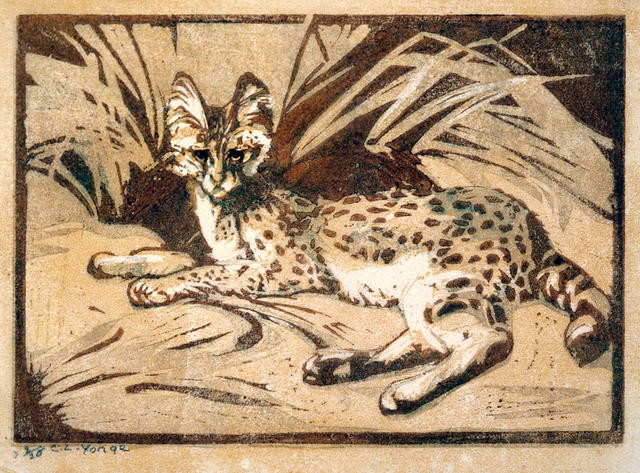 Serval