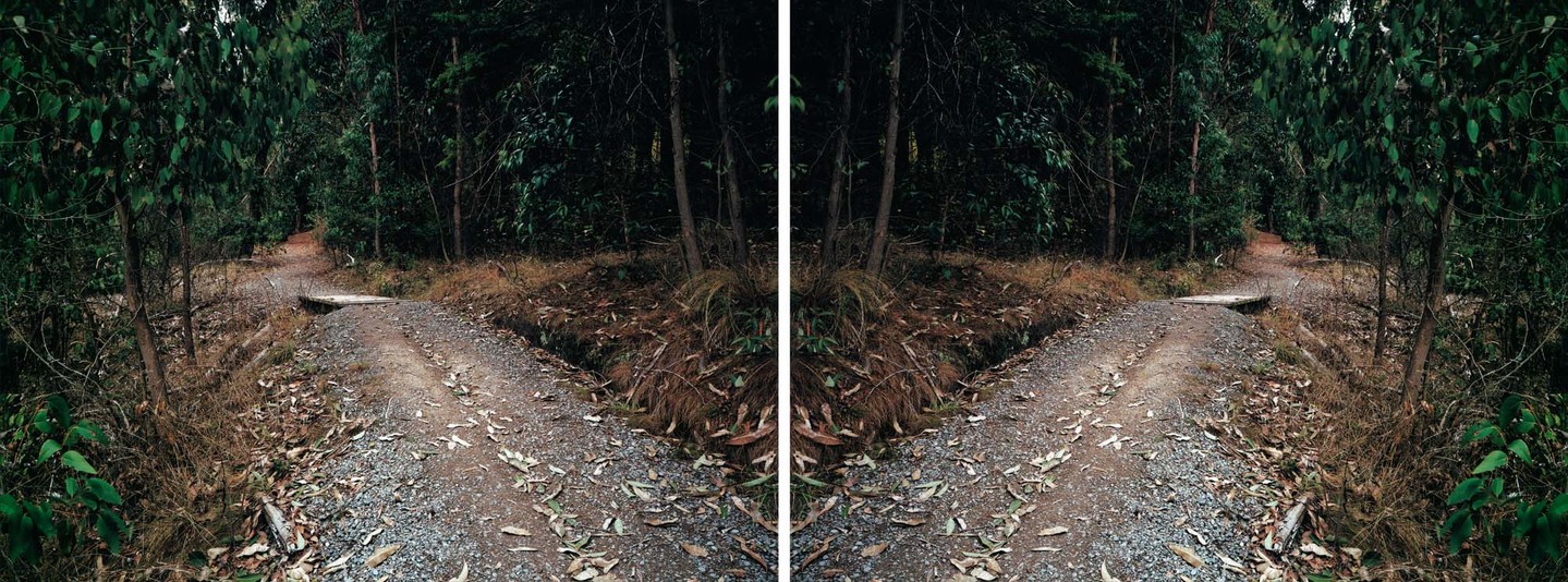 Ann Shelton Doublet (After Heavenly Creatures), Parker-Hulme Crime Scene Port Hills, Christchurch, New Zealand 2001. Diptych, C-type prints. From the series Public Places. Collection of Christchurch Art Gallery Te Puna o Waiwhetū, purchased 2004