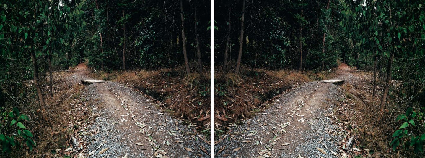 Ann Shelton Doublet (After Heavenly Creatures), Parker-Hulme Crime Scene Port Hills, Christchurch, New Zealand 2001. Diptych, C-type prints. From the series Public Places. Collection of Christchurch Art Gallery Te Puna o Waiwhetū, purchased 2004