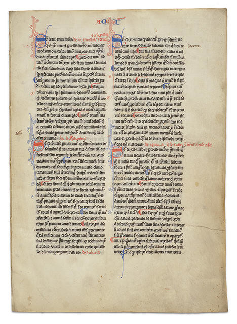 Leaves from Summa de vitiis