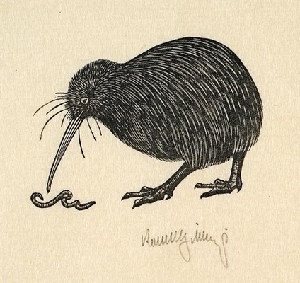 Robert Gibbings Kiwi And Worm (Untitled). Mezzotint. Collection of Christchurch Art Gallery Te Puna o Waiwhetū, gifted by Mrs Rosalie Archer. Reproduced courtesy of Reading University Library