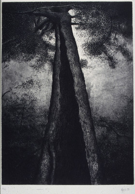 Denise Copland Indigenous IV 1991. Etching/aquatint. Collection of Christchurch Art Gallery Te Puna o Waiwhetū, purchased 1993. Reproduced courtesy of Denise Copland