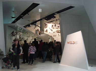 Wild exhibition at Melbourne Museum.