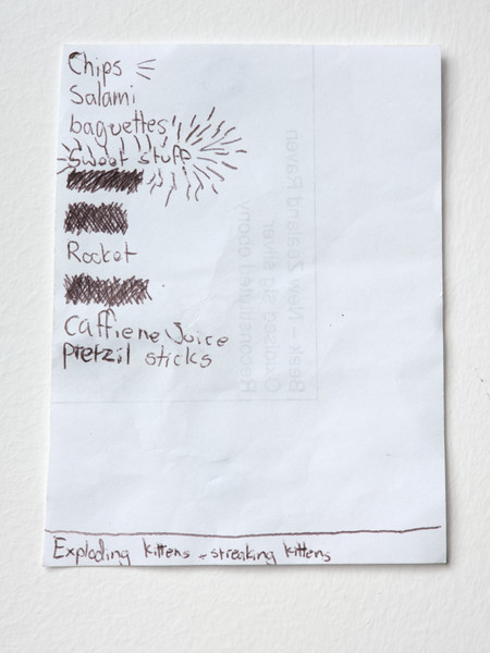 Judy Darragh Pecking Order (detail) 2022. Digital photograph. Courtesy of the artist. Photo: Sam Hartnett