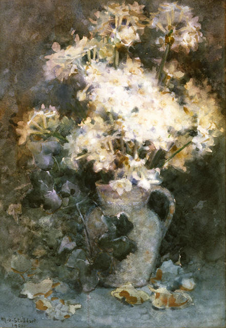 Narcissi