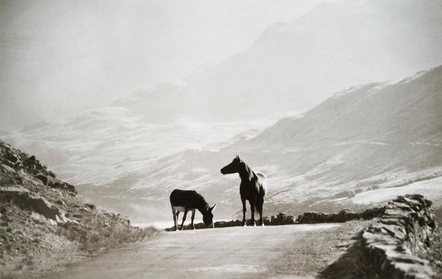 Morning in Connemara