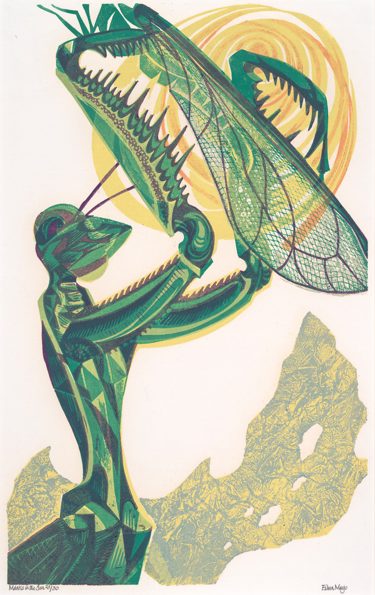 Colouring in: Mantis in the Sun