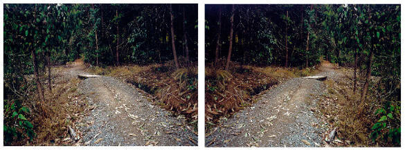 Doublet (after Heavenly Creatures), Parker/Hulme crime scene, Port Hills, Christchurch, New Zealand