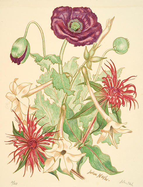 Flowers